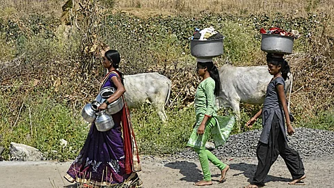 Image for representation (Image: India Water Portal Flickr)