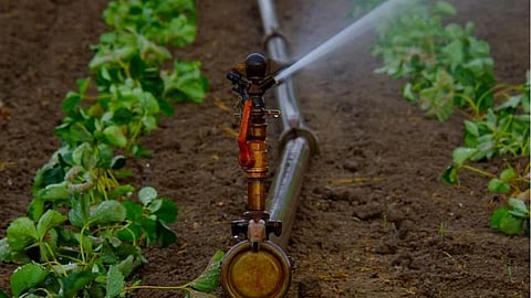 Enhancing efficiency through sprinkler irrigation (Image: Rawpixel; CC0 License)