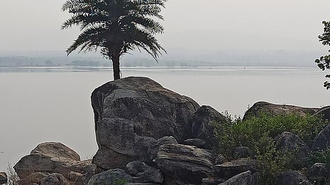 The Nagi dam bird sanctuary (Image Source: Hilfiger28 via Wikimedia Commons)