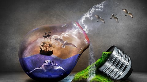 Green startups: Powering a sustainable future (Image: Needpix)