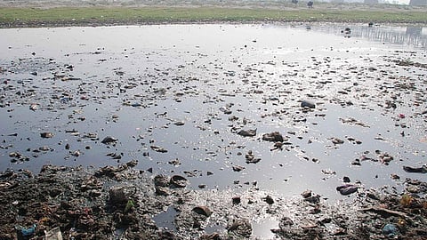 The polluted Yamuna at Agra (Image Source: India Water Portal)