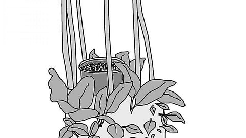 Simple ways to achieve water sufficiency