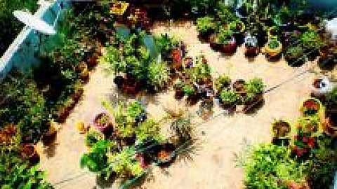Do I need to waterproof my entire terrace to have a terrace garden or can this be avoided by using planters?