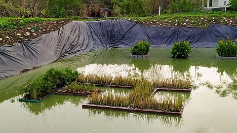 An attempt to make our lakes pollution free (Image: Clean Water)