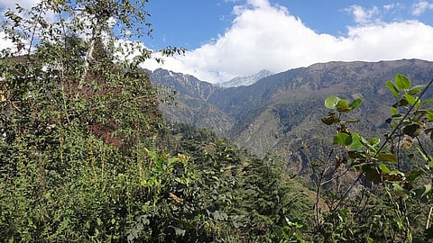 Forest cover of Himachal Pradesh