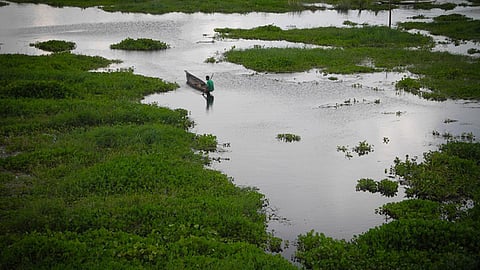 A wetland in Assam. (Source: IWP Flickr Photos)