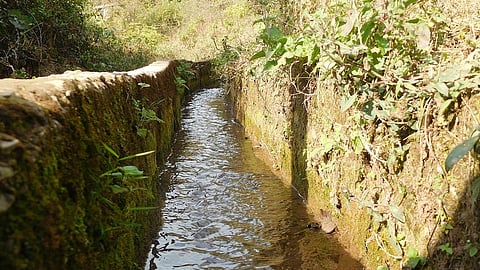 A small canal in Chanaute, Birendranagar, Nepal. (Photo: Janak Poudel (CC BY 4.0 SA)