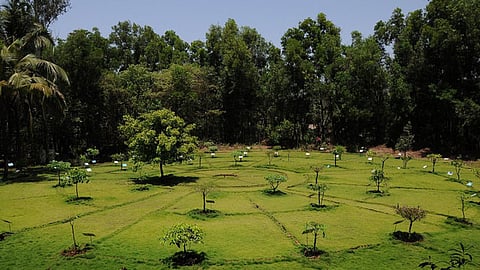 The Nakshatra Garden