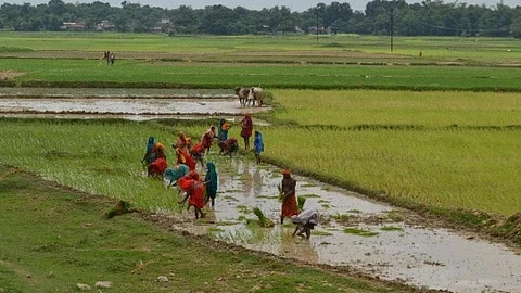 Farming sector has a lot to worry about.