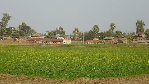 A farm in India. (Source: IWP Flickr Photos)