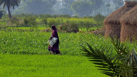 Subsidies for irrigation efficiency lead to a decrease in water availability at the watershed level because of increased irrigated areas and water withdrawals. (Pic: IWP Flickr photos)