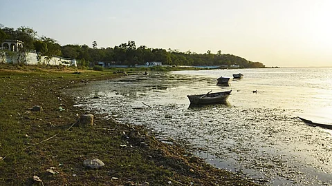 The Upper Lake, Bhopal (Source: IWP Flickr Photos)