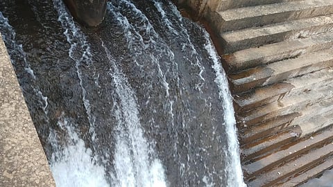 Water flows into the dam. (Photo courtesy: Gurvinder Singh)