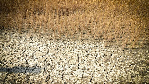 Whether an extreme weather event can be attributed to climate change or not is a question that has been on the minds of scientists for long. (Photo: IWP Flickr photos)