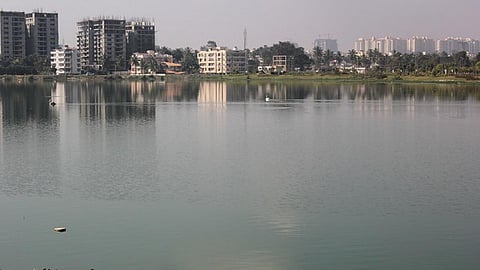 Rachenahalli Lake in Bengaluru (Source: Sumetee Pahwa Gajjar)