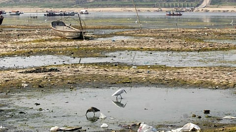 Ganga river at Sangam in Allahabad (Source: IWP Flickr Photos)