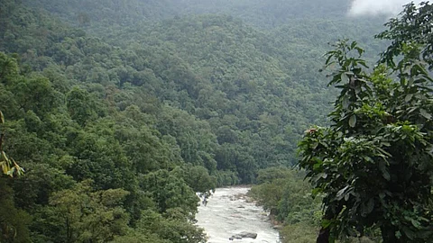 Free flowing stretch of river Seetha Nadi in the Western Ghats (Source: SANDRP)