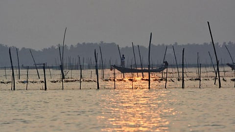 The Chilika Lake. (Source: India Water Portal)