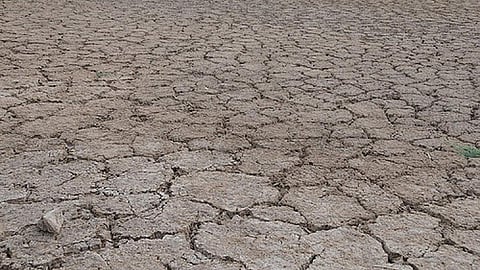 Parched land during drought in India. (Source: IWP Flickr Photos)