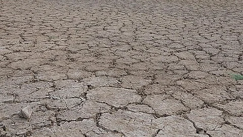 Centre issues drought advisory to six states (Source: IWP Flickr photos)