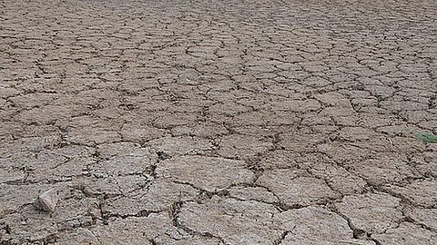 Drought in Maharashtra (Source: IWP Flickr Photo)