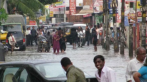Recovering rainfall is a good sign. (IWP Flickr photos)