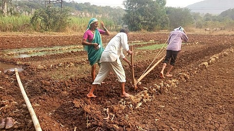 The centre will provide advanced information and tools to increase farmer resilience to climate change. (Photo: IWP flickr photos)