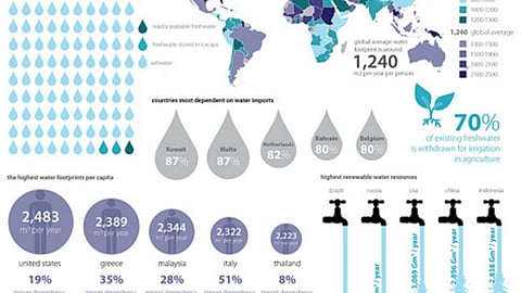 Global water footprint