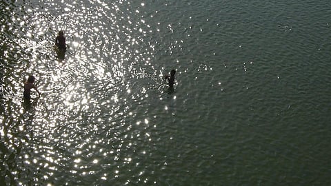 Ganga river at Kachla, Uttar Pradesh. (Source: IWP Flickr Photos)