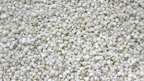 Millets. Image source: Wikimedia Commons