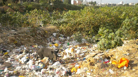 Garbage fills Sarakki Lake