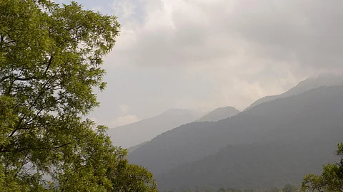Western Ghats provides moisture for rainfall. (Source: IWP Flickr photos)