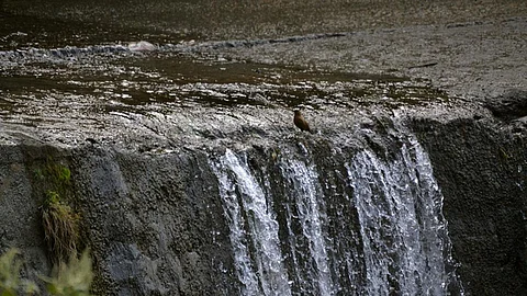 Conservation is the way out of water crisis. (Source: IWP Flickr photos)