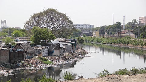 The Cooum as it flows through Chennai today.