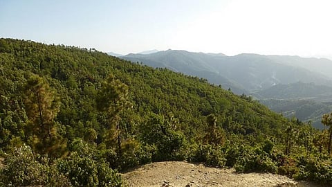 Ufrenkhal forest that gives water to Gad Ganga