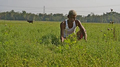 A farmer on his field. (Source: India Water Portal)