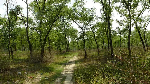 The scrubland that the Coca Cola company requires