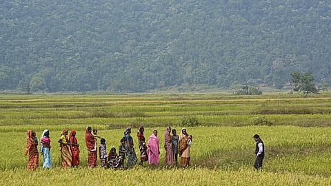 SRI beneficiaries in Ambikapur