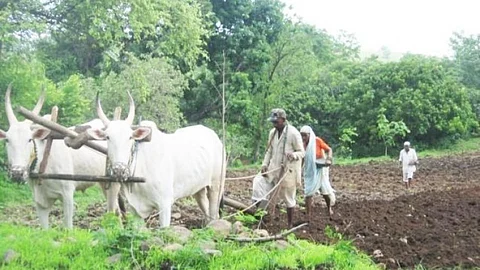 Agriculture needs to be made climate resilient. (Image Source: India Water Portal)