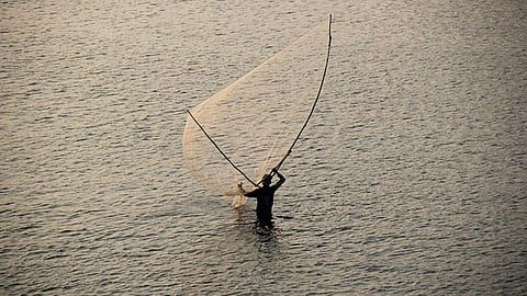 The blue revolution changed the way India looked at its marine wealth. (Source: IWP Flickr photos)