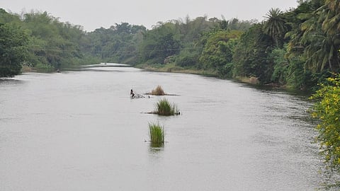Cauvery river (Source: India Water Portal)