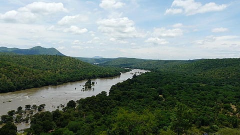 Cauvery river in Karnataka (Source: AmyNorth via Wikipedia)