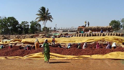 Red chilli wholesale market at Karnataka (Image: Pxhere, CC0 Public Domain)