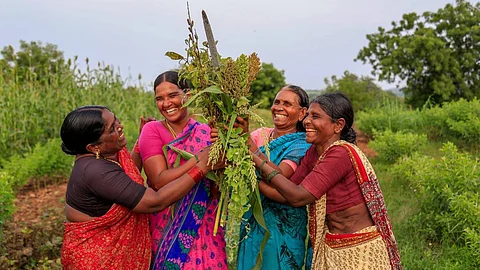 The women of Deccan Development Society sanghams move towards more localized natural resource management (Image: Deccan Development Society, Facebook Page)