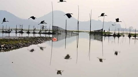 Deepor beel, Assam (Source : India Water Portal)