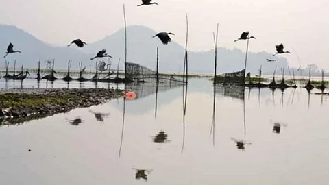 Deepor beel, Assam (Source : IWP Flickr Photos)