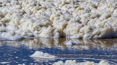 Nonylphenol, a toxic chemical found in detergents is known to enter the water bodies and even the food chain, where it bio-accumulates and can pose serious environmental and health risks (Image: Toxics Link)