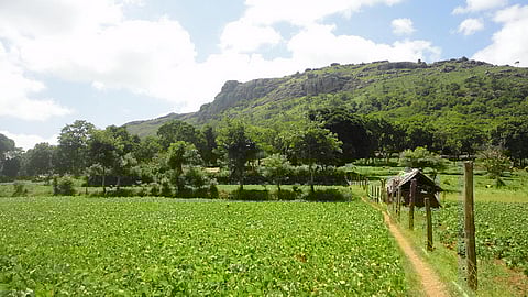 Integrated farm development: A user guide (Source: Seetha Gopalakrishnan, IWP)