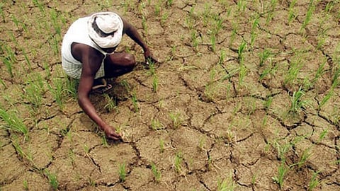 Parched land (Image courtesy: Ink Freezer)