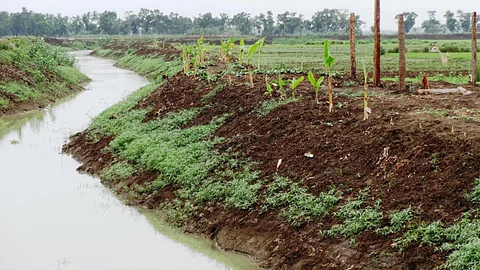 Canal restoration in Puri district (Source: Regional Centre for Development Cooperation)